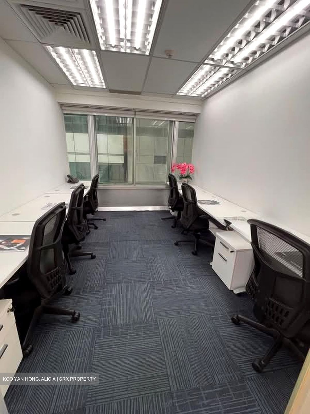The Octagon (D1), Office #555454651